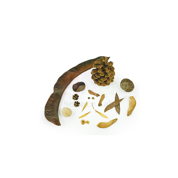 Seed Identification Kit